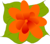 Orange Flower With Leaves Clip Art
